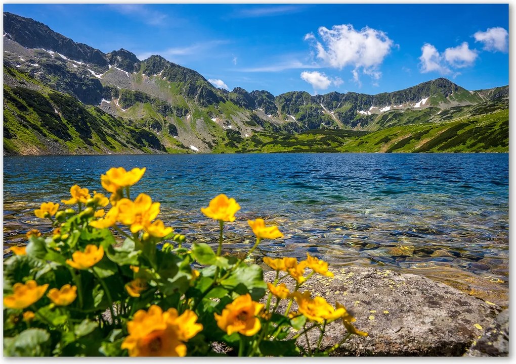 Üveg falpanel Tó a hegyekben Ragasztó Ingyenes