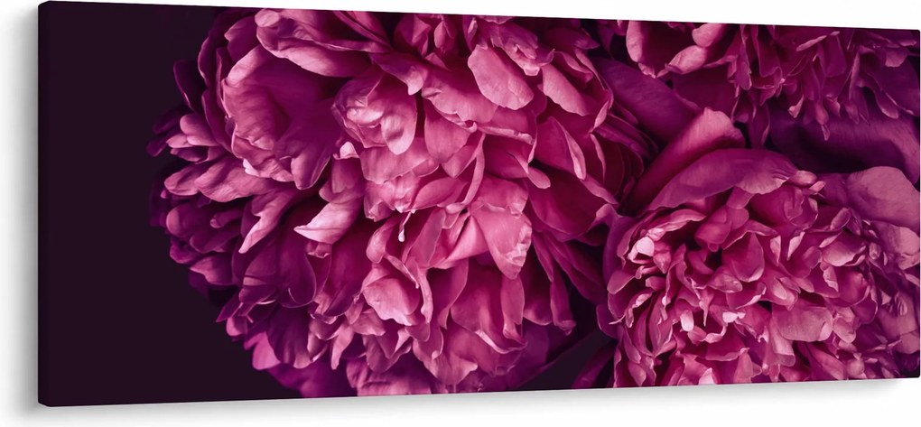 Kép - Csokor pünkösdi rózsa (120x50 cm)
