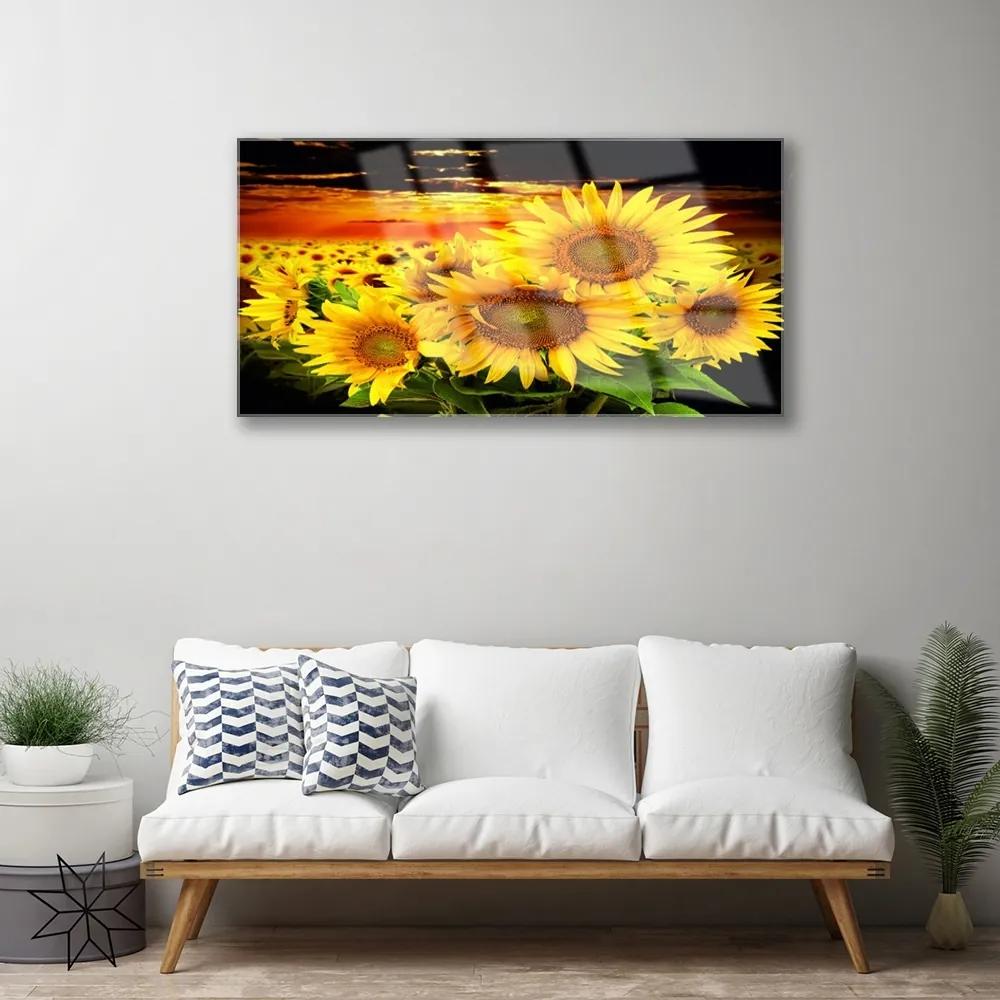 Akril üveg kép Napraforgó virág növény 120x60 cm