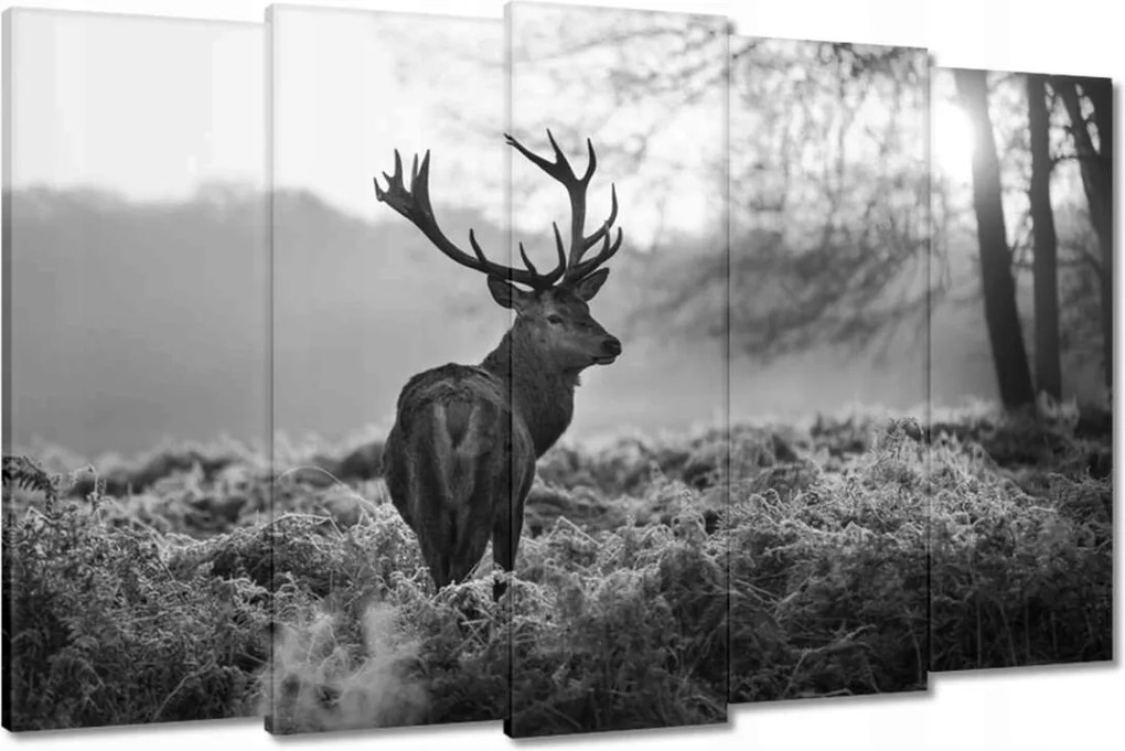 Vászonkép 150x95 Fekete-fehér szarvas