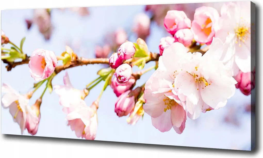 Nagyméretű vászonkép Cseresznyevirágok 100x70 cm