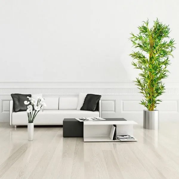 PLANTASIA Műnövény bambusz 220 cm