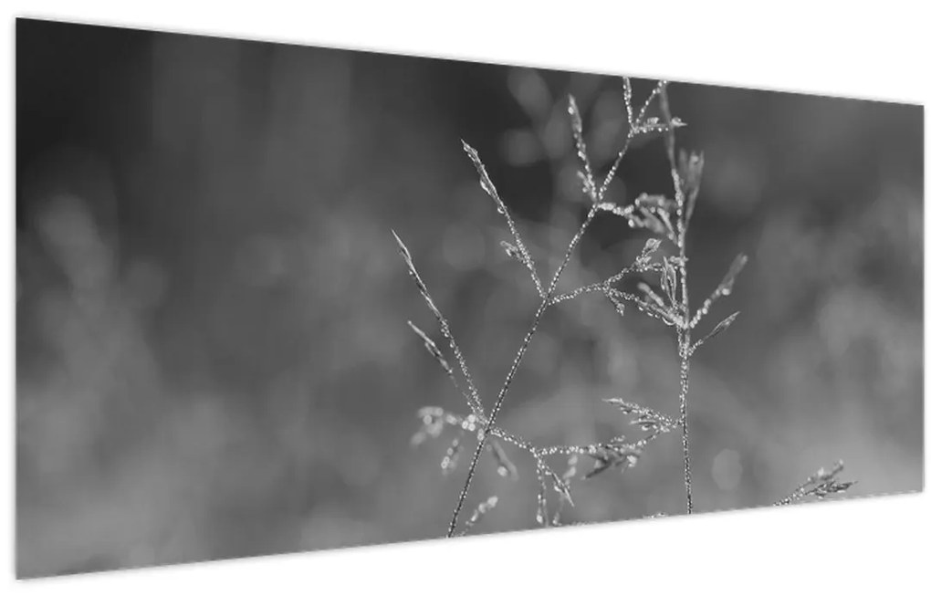Kép - Vidéki rét (120x50 cm)