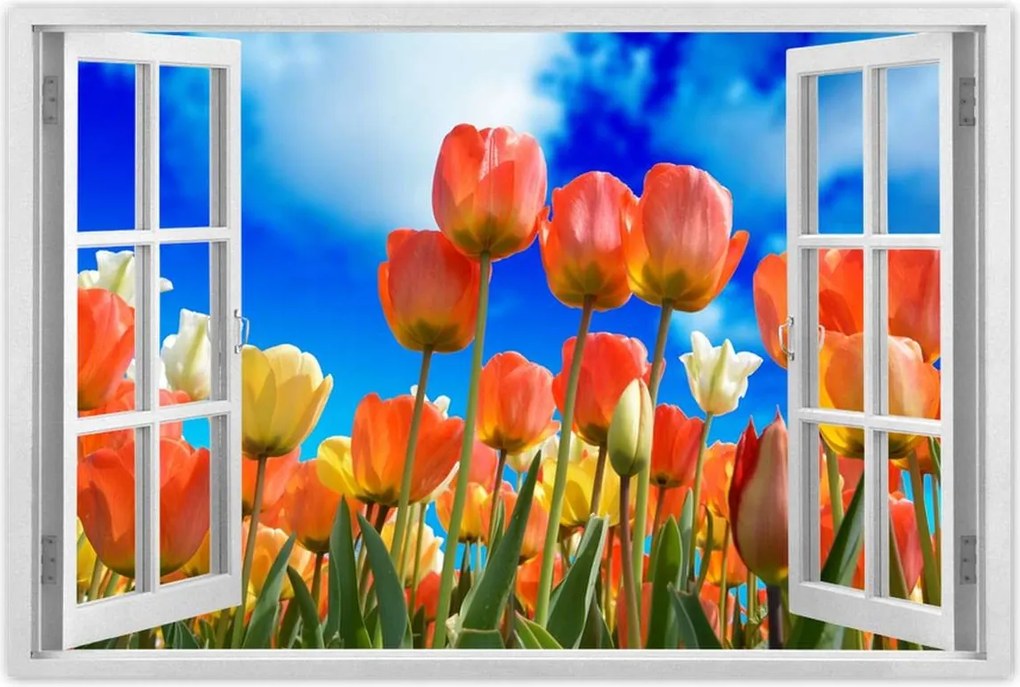 Poszterek 90x60 Színes tulipánok