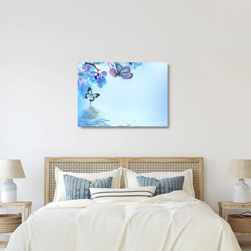 Üveg kép - Pillangó orchidea virágon, kék (70x50 cm)