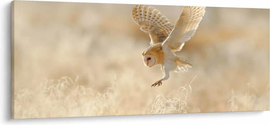 Kép - Bagoly (120x50 cm)