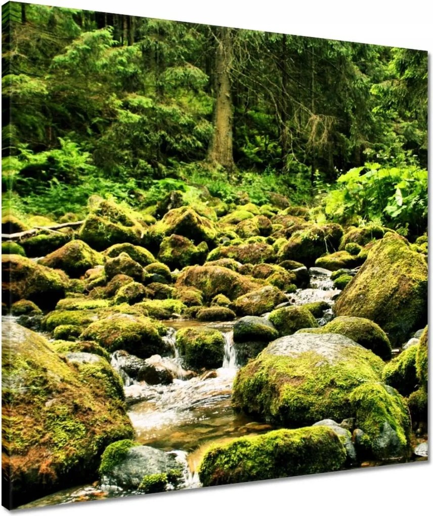 Vászonkép 50x50 Tátra Lengyel hegyek Kilátás