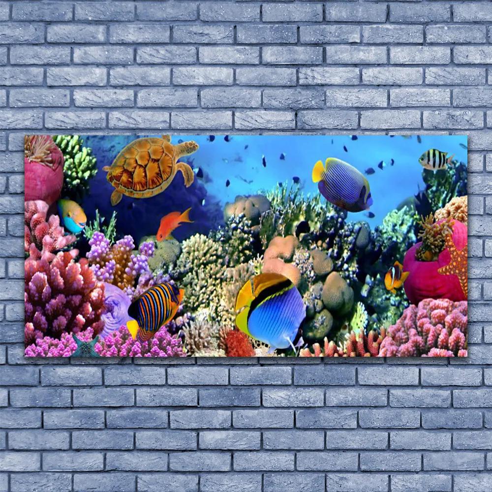 Modern üvegkép Barrier Reef Nature 125x50 cm