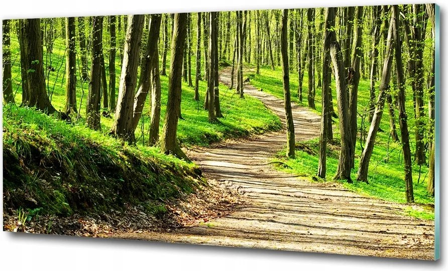 Fotó üvegkép Ugrás a szakadék felett 125x50