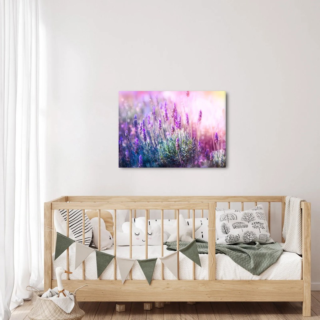 Kép - Levendula a csillogó napban (70x50 cm)