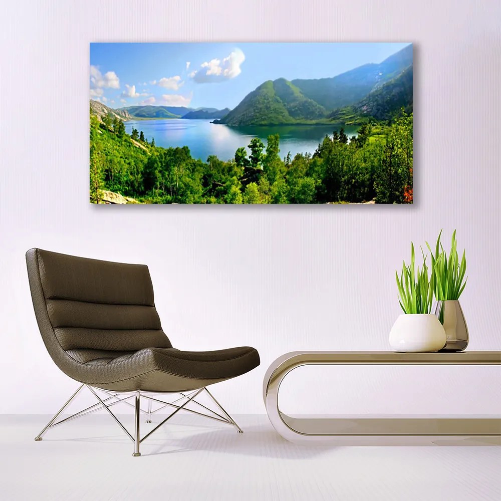 Vászonkép falra Forest Lake hegyek táj 100x50 cm