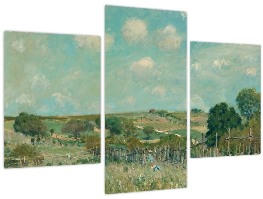 Kép - Alfred Sisley,  Meadow, reprodukciók (90x60 cm)