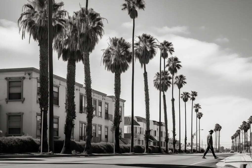 Poszter 45x30cm Séta a pálmafák árnyékában