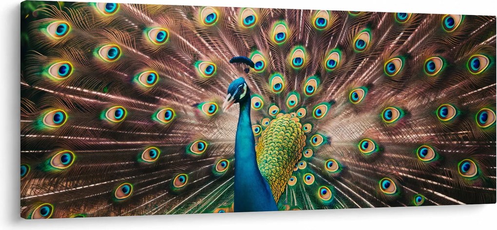 Kép - Páva (120x50 cm)