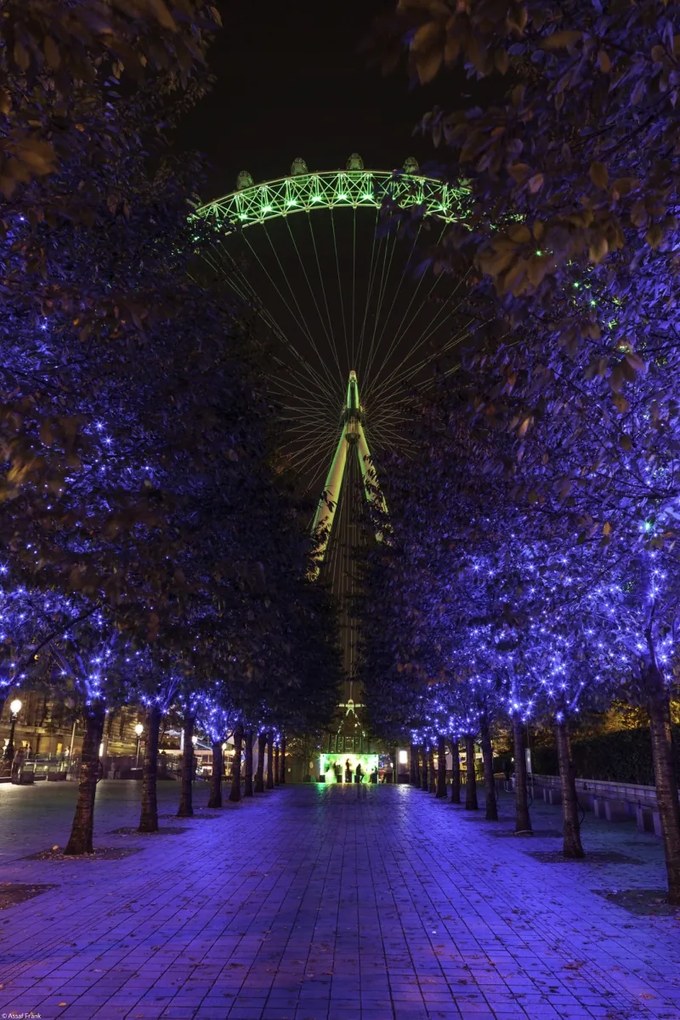 Poszter 30x45cm Fák vezetnek az ezredforduló köré, Assaf Frank