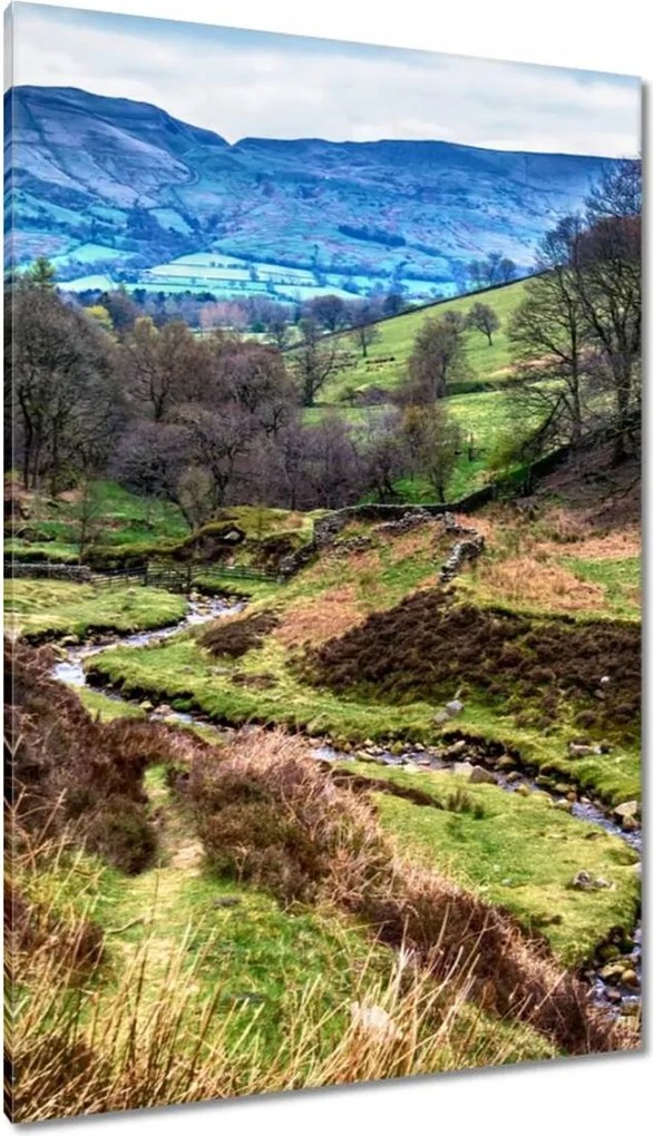 Vászonkép 80x120 Patak a hegyekben