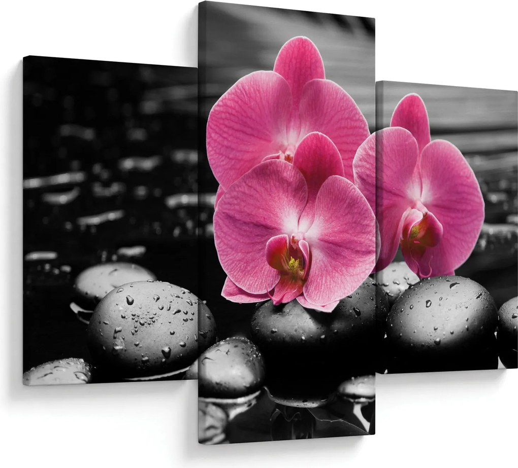 Kép - Rózsaszín orchideák (90x60 cm)