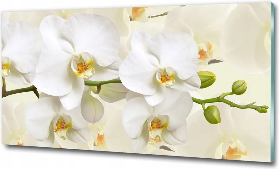 Fotó kép fotó edzett üveg Gyógynövények 100x70