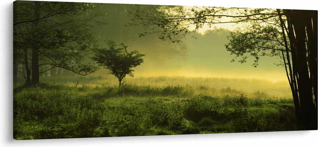 Kép - Ébredő erdő (120x50 cm)