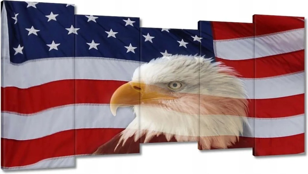 Festmények 150x80 Freedom from Usa