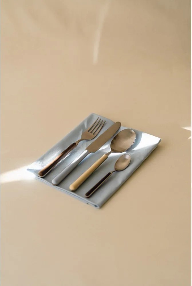 Világoskék-ezüstszínű rozsdamentes acél egyszemélyes evőeszköz készlet 4 db-os Noli – noo.ma