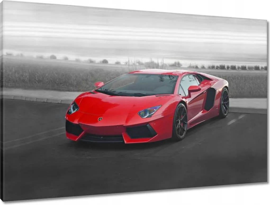 Vászonkép 90x60 Spot autó