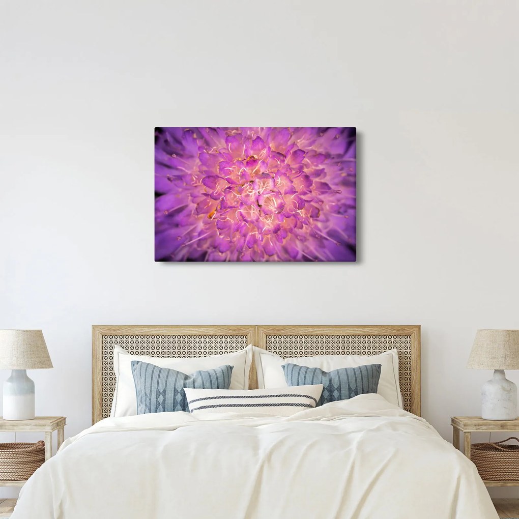 Részletes virágkép (90x60 cm)