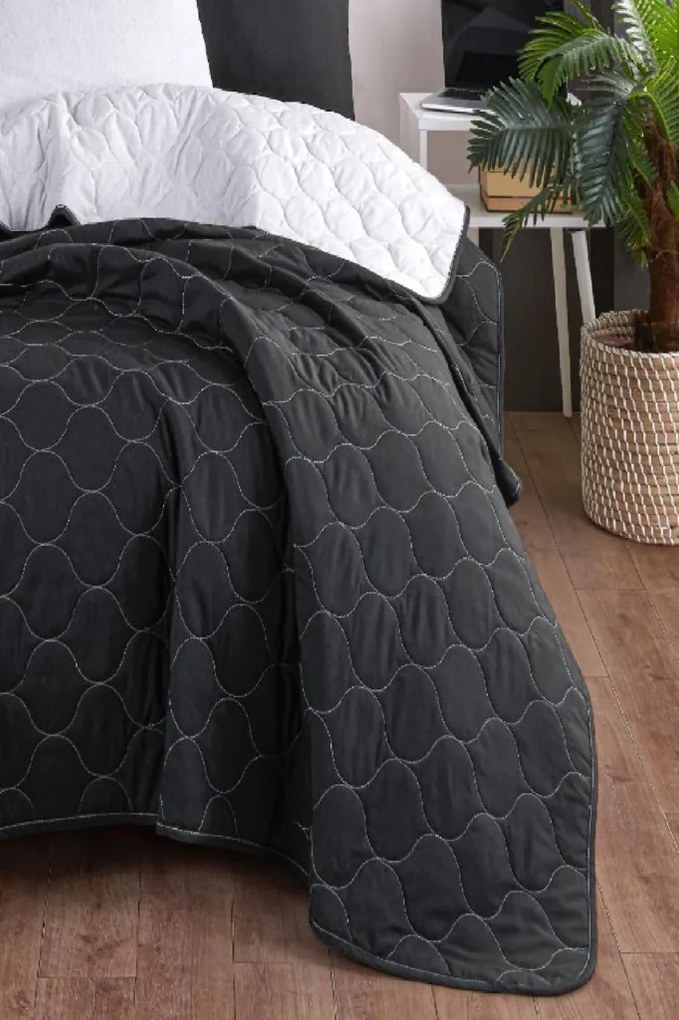 Solid - Black, Grey