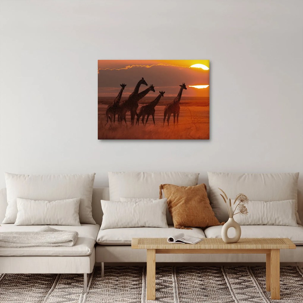 Kép - Zsiráfok az afrikai szavannán (70x50 cm)