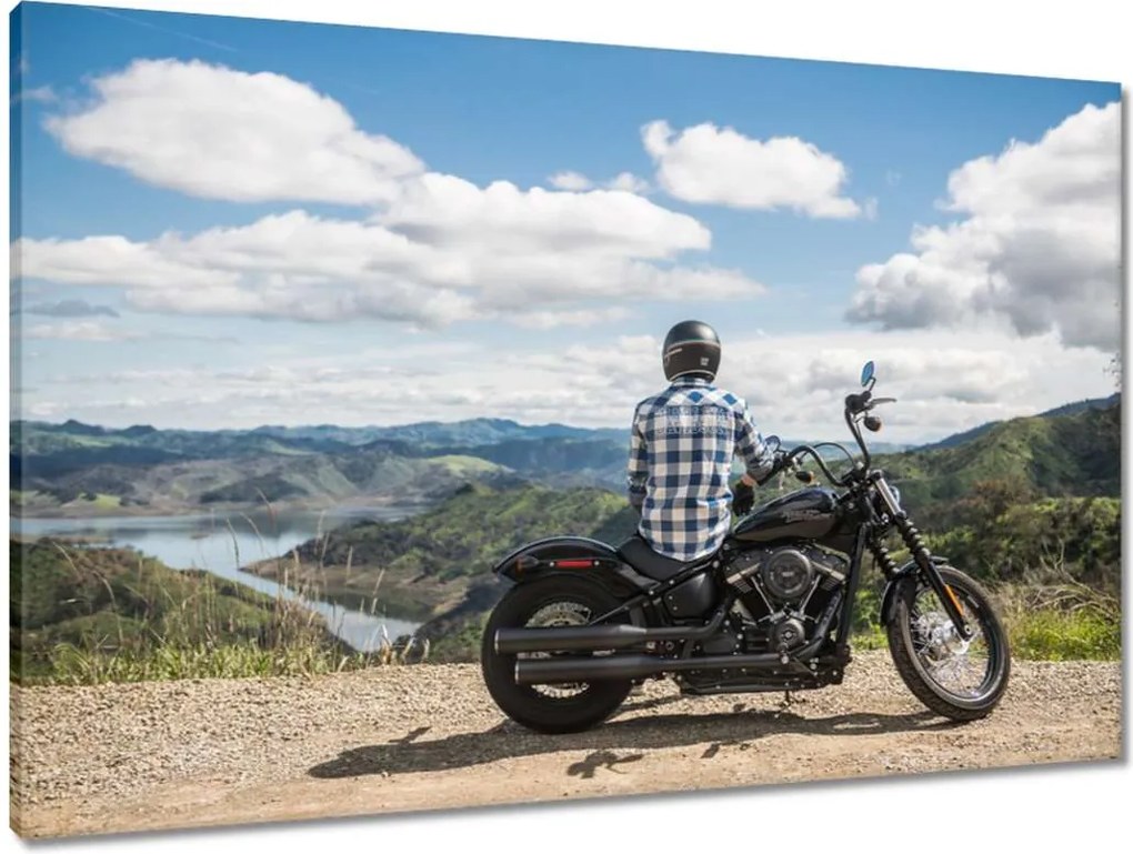 Vászonkép 90x60 Harley Davidson Motorkerékpár