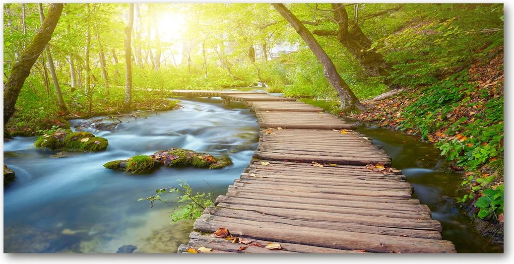 Fotótapéta üvegfalra Ösvény az erdőben 140x70