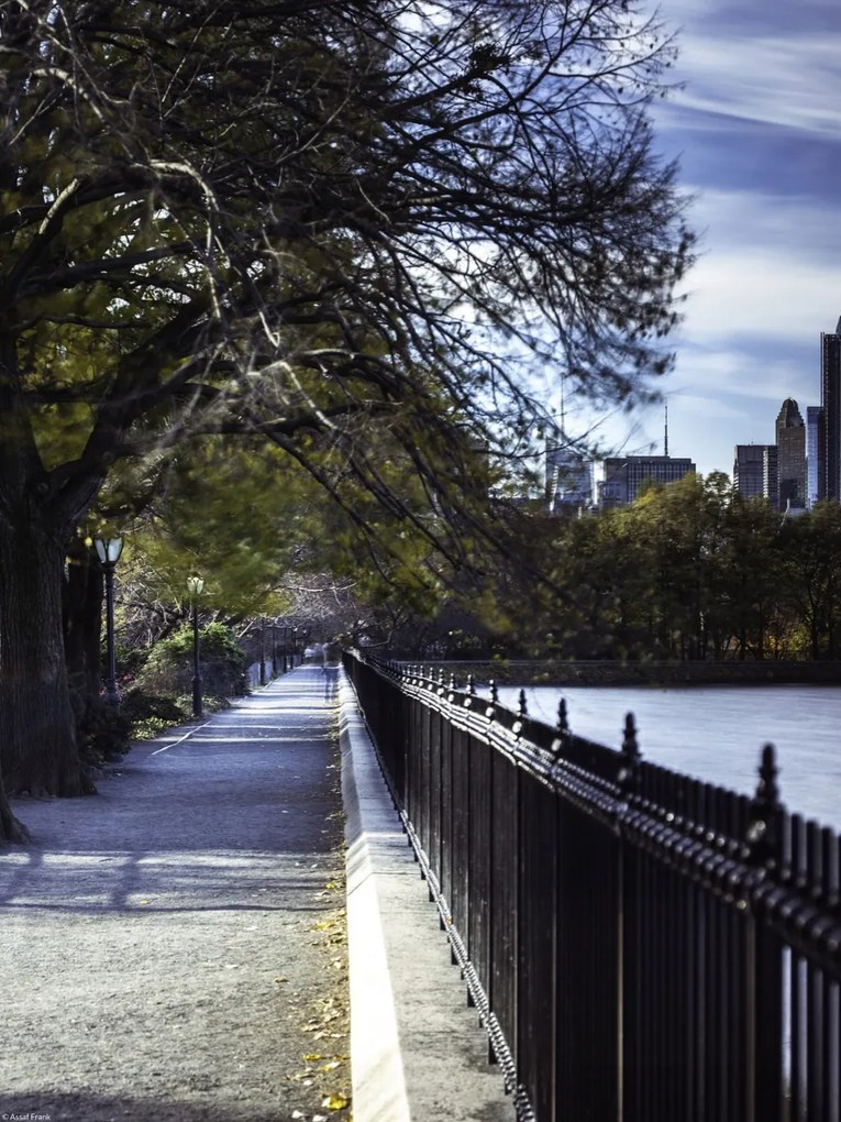 Poszter 30x40cm New York sétány, Assaf Frank