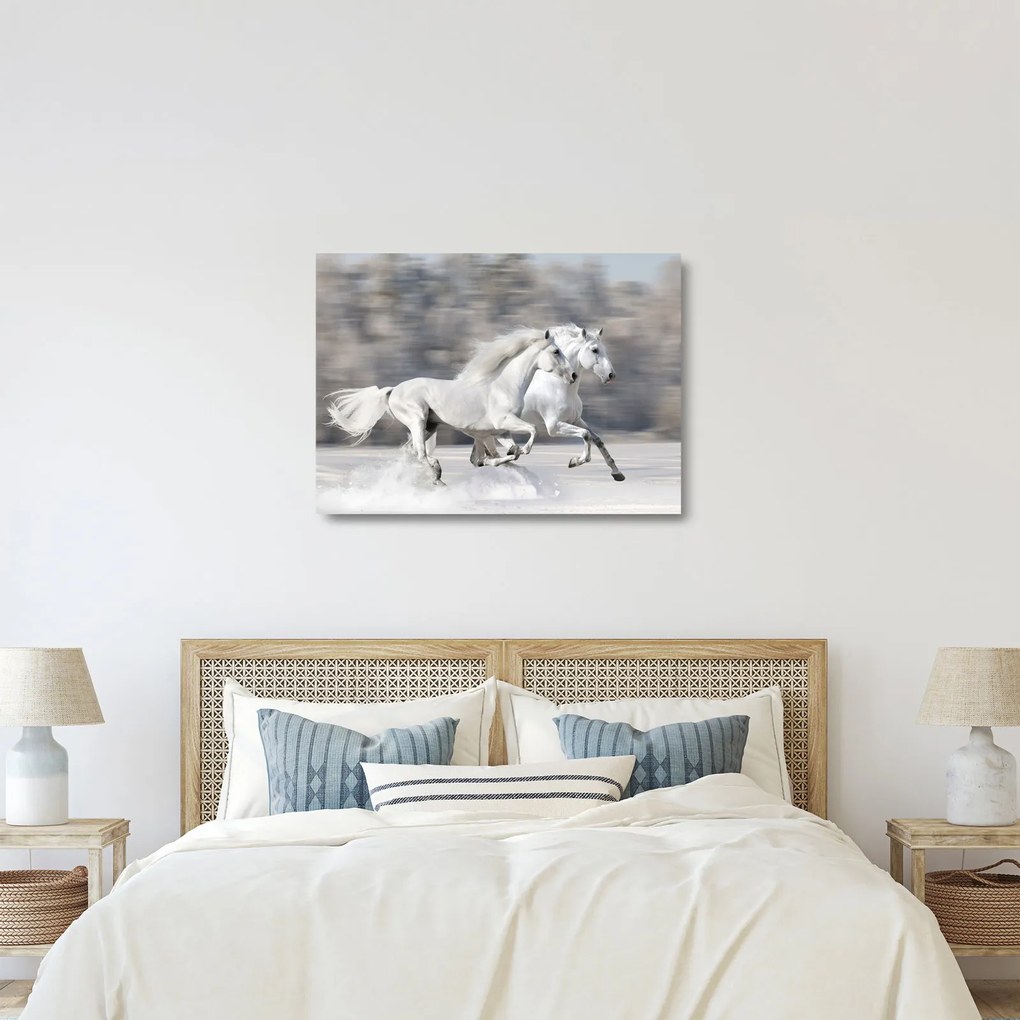 Üveg kép - Fehér lovak télen (70x50 cm)