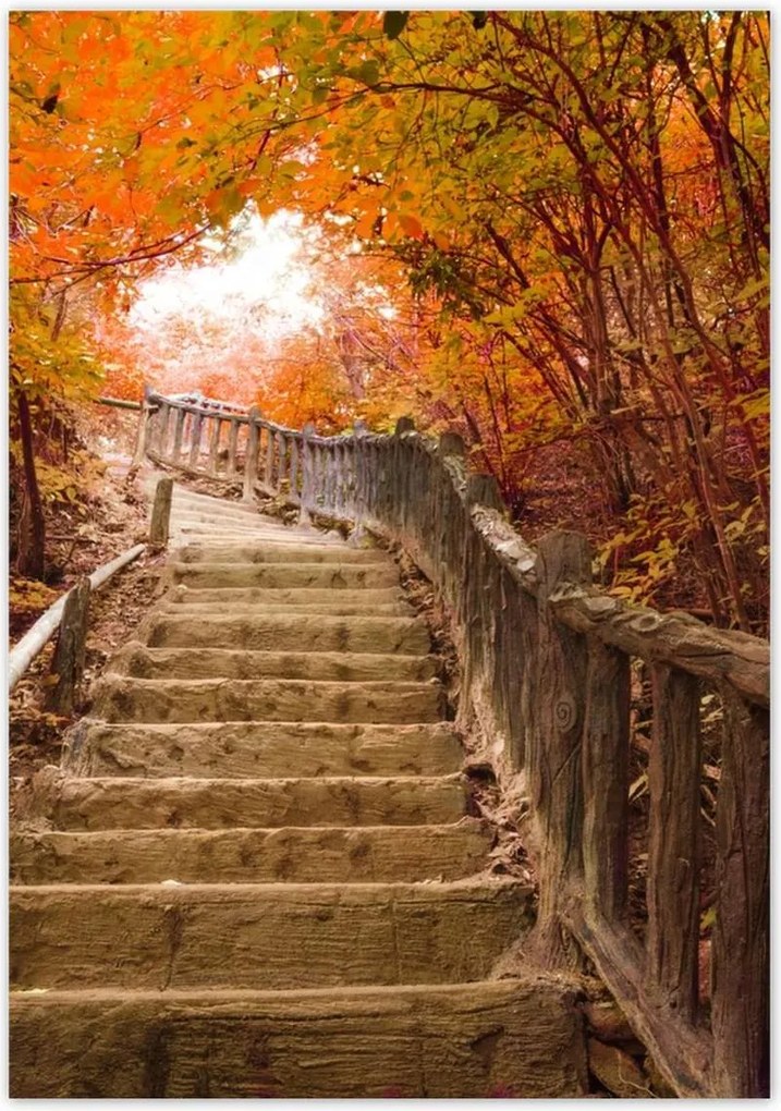 Poszterek 70x100 Őszi séta Lépcsők