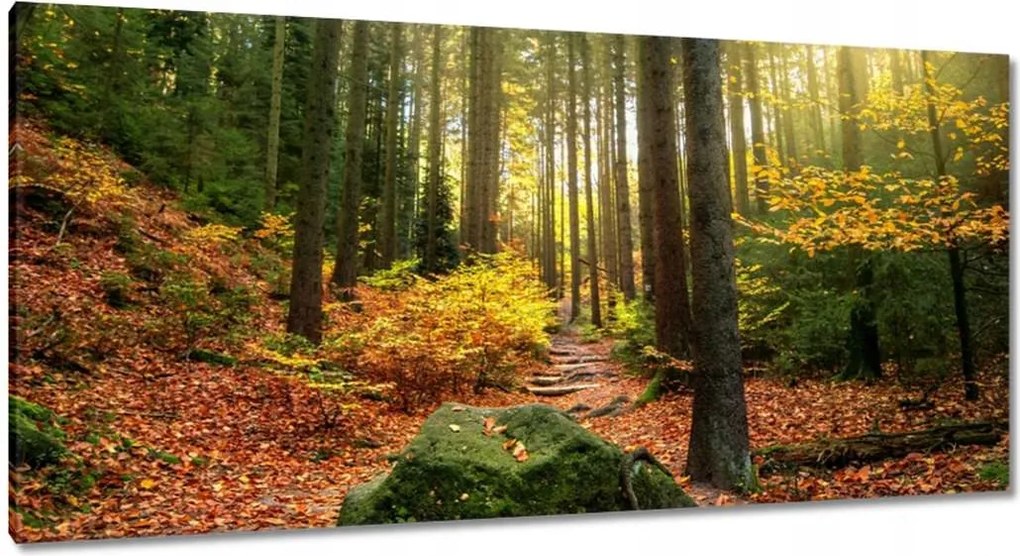 Festmények 115x55 Tájkép