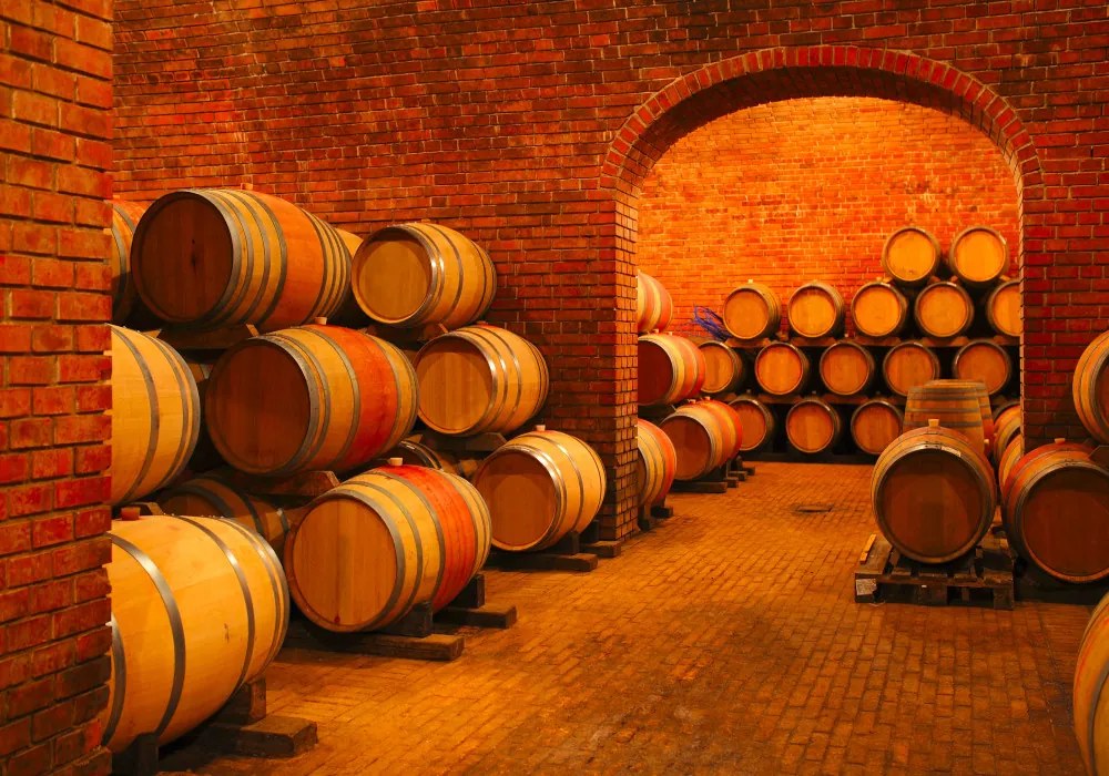 Fotótapéta Wine Barrels in the Wine Vault, 368 x 254 cm