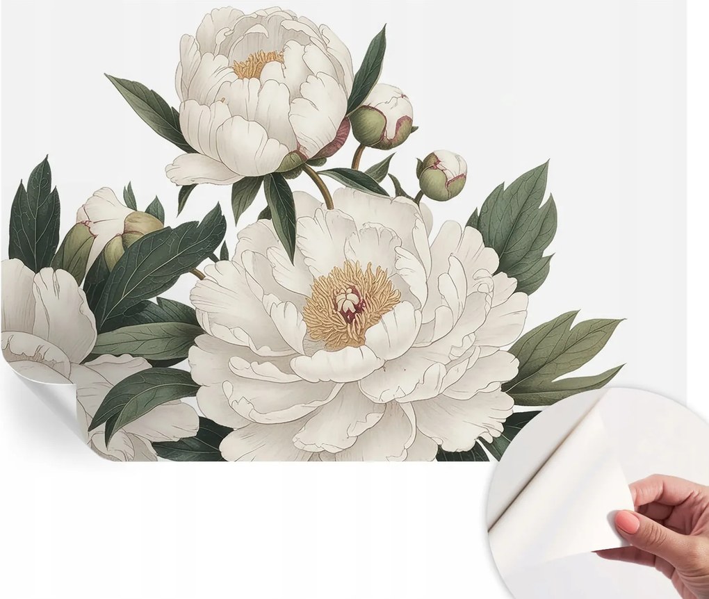 Öntapadós Dekoratív Fotótapéta Hálószobába Fehér peonie 104x70 cm