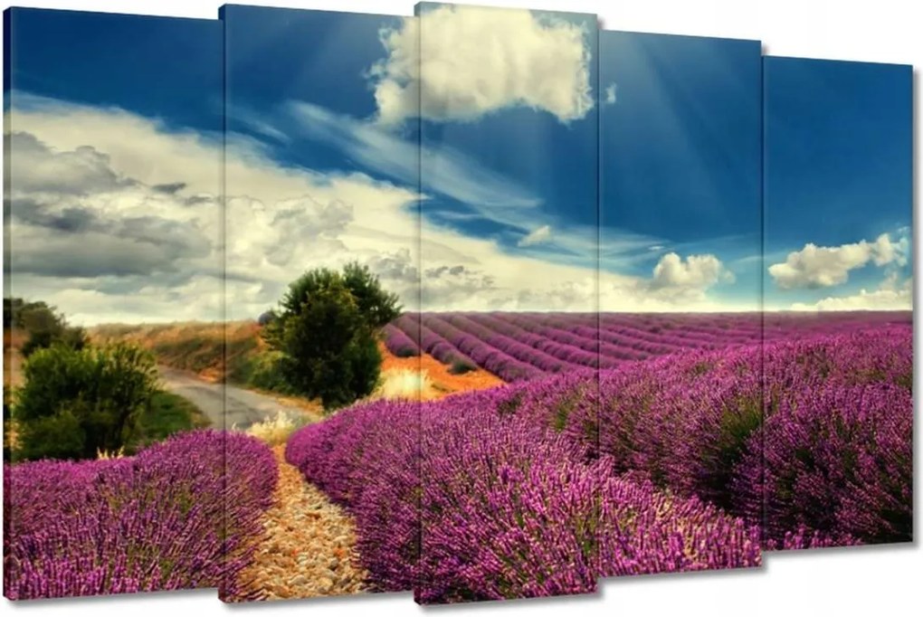 Festmények 150x95 Levendula tájkép