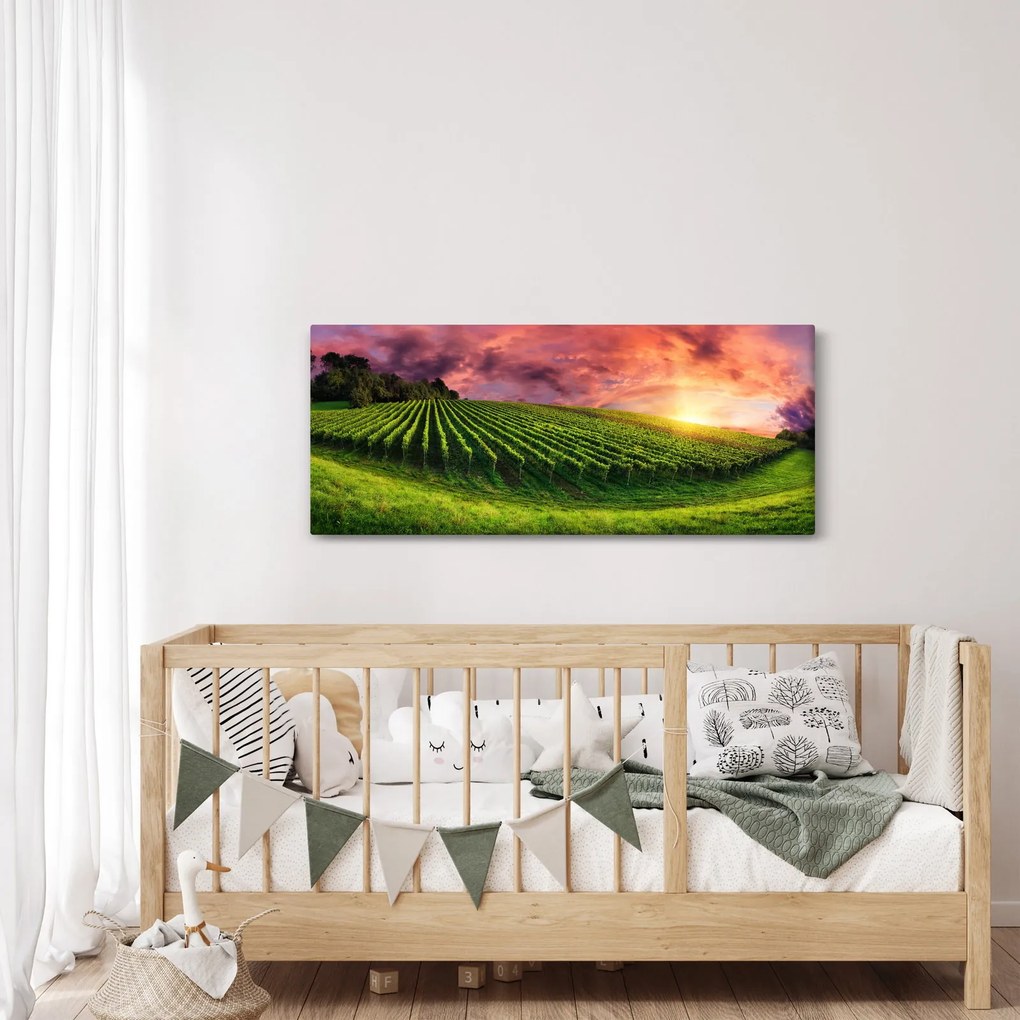Szőlőskert és a színes égbolt képe (120x50 cm)