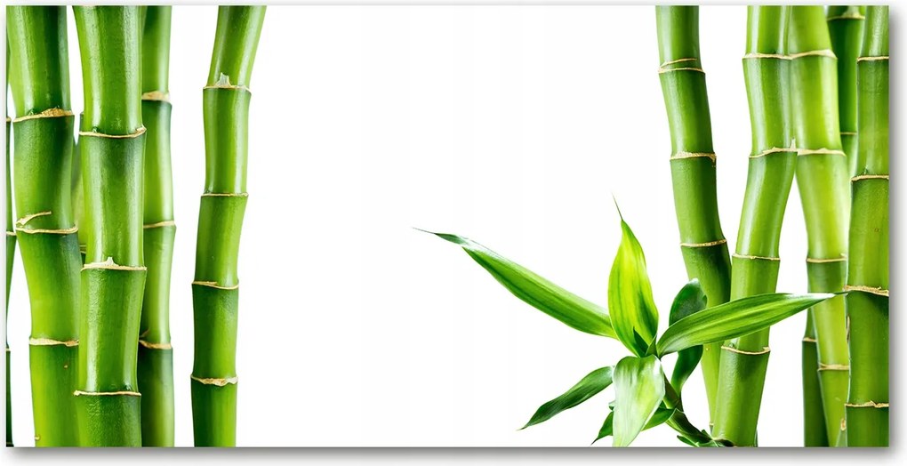 Fotó vászonkép edzett üveg Bambusz 140x70