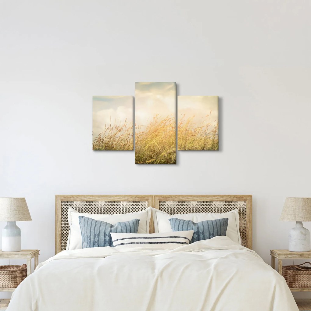 Kép - Mező ősszel (90x60 cm)
