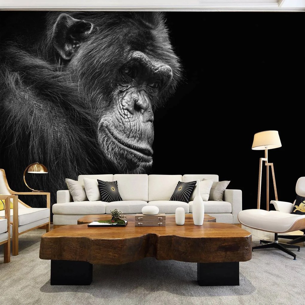 Fotótapéta - Gorilla (152,5x104 cm)