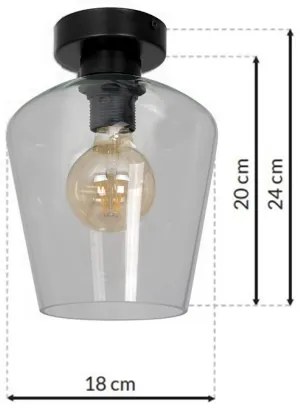 Mennyezeti lámpa SANTIAGO 1xE27/60W/230V átlátszó