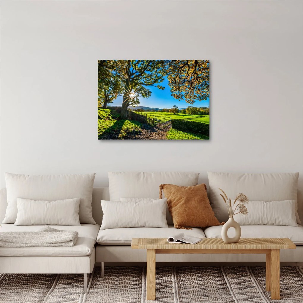 Kép - mező, kilátás (70x50 cm)