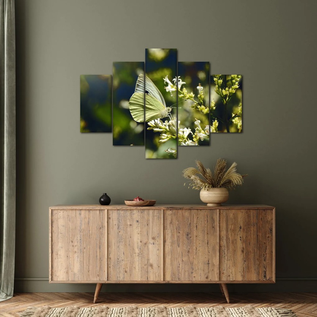 Pillangó képe (150x105 cm)