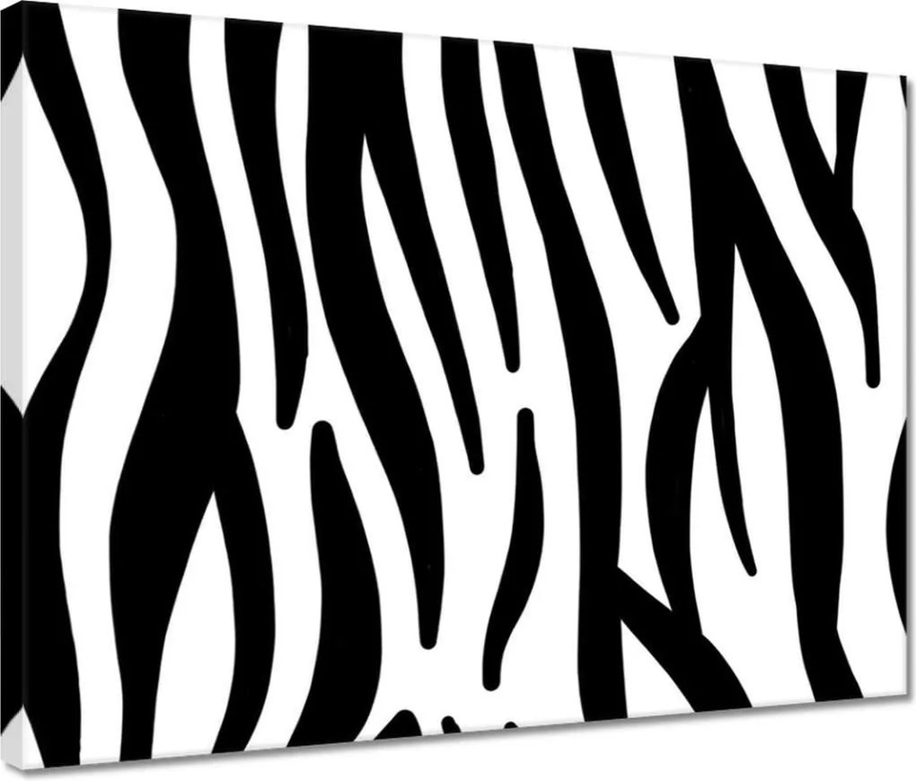Vászonkép 40x30 Zebra csíkok