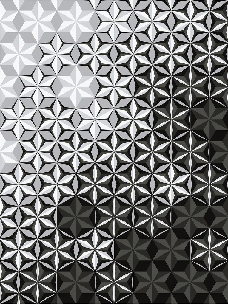 Flizelin fotótapéta Geometrikus absztrakt illúzió Mono 206x275 +ragasztó