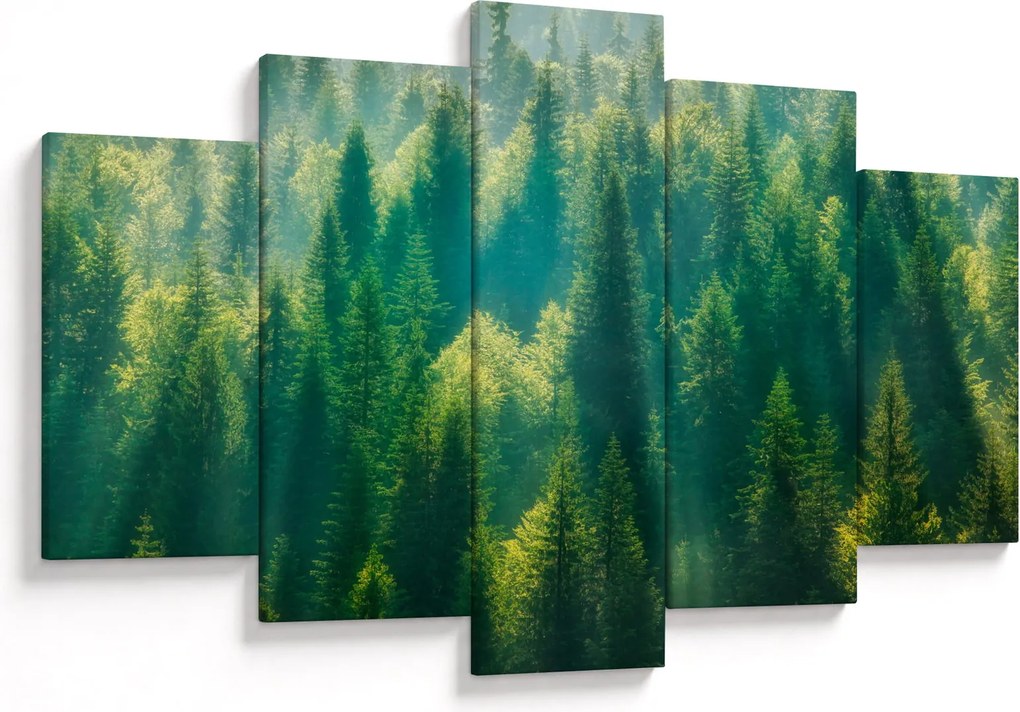 Kép - fenyőerdő (150x105 cm)