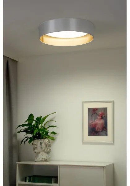 Duolla - LED Mennyezeti lámpa ROLLER LED/24W/230V átm. 45 cm ezüst/arany