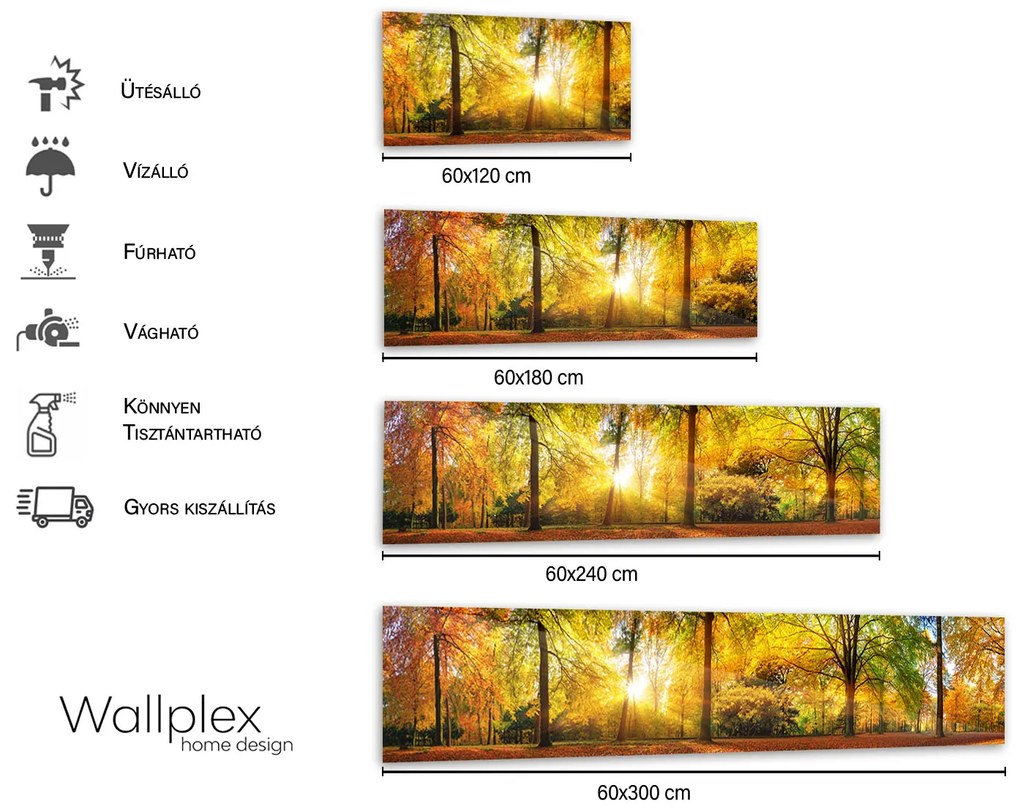 Wallplex falburkoló konyhapanel Őszi erdő (Méret: Közepes 60x180)